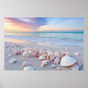Seashell Beach Tranquil Peaceful Nature  Poster