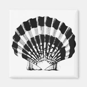 Seashell - black and white magnet