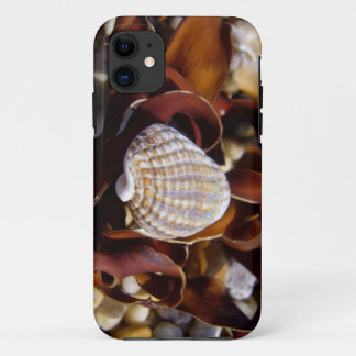 Seashell iPhone 11 Case