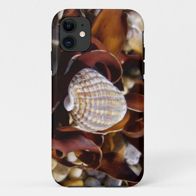 Seashell Case-Mate iPhone Case (Back)