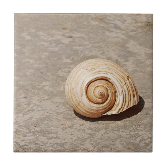 SeaShell Ceramic Tile (Front)