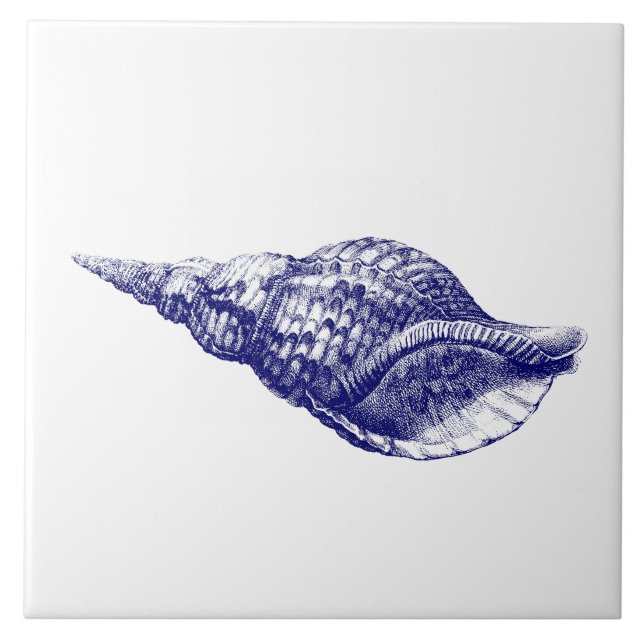 Seashell Charonia Tritonis Blue & White Ceramic Tile (Front)