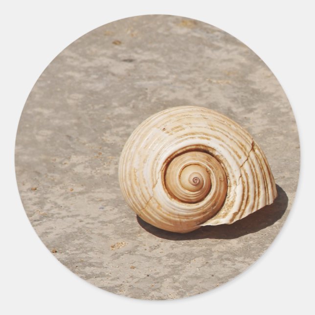SeaShell Classic Round Sticker (Front)