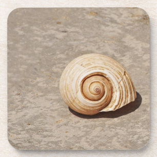 SeaShell Coaster