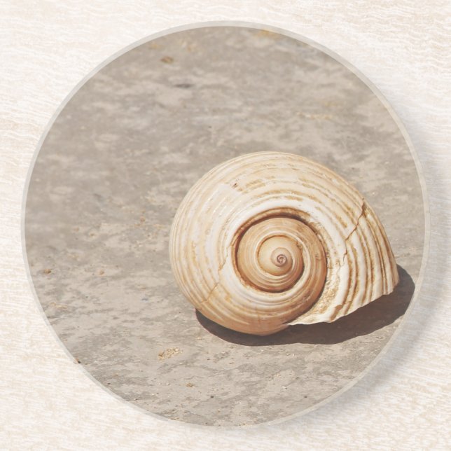 SeaShell Coaster (Front)