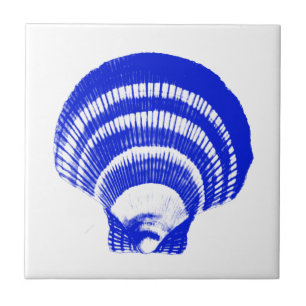 Seashell - cobalt blue and white ceramic tile