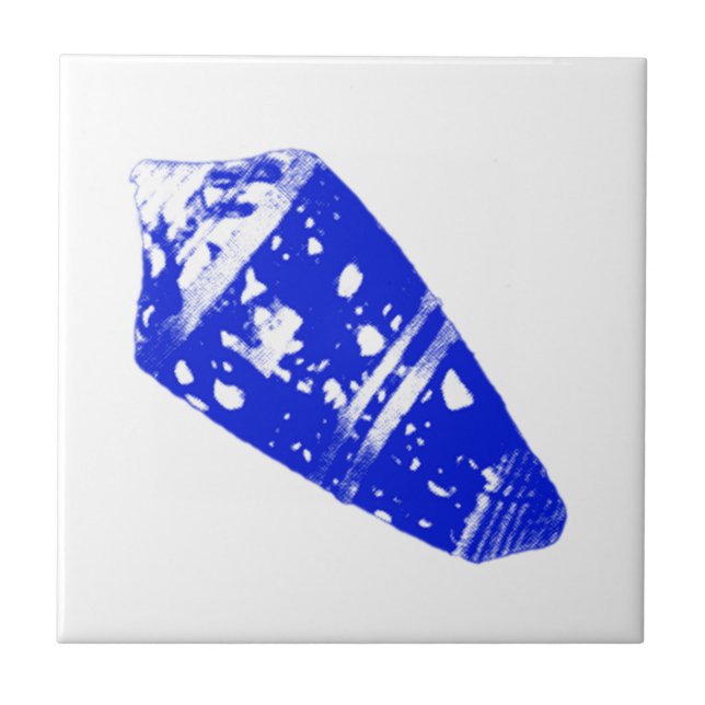 Seashell - cobalt blue and white ceramic tile (Front)
