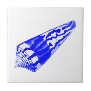 Seashell - cobalt blue and white tile