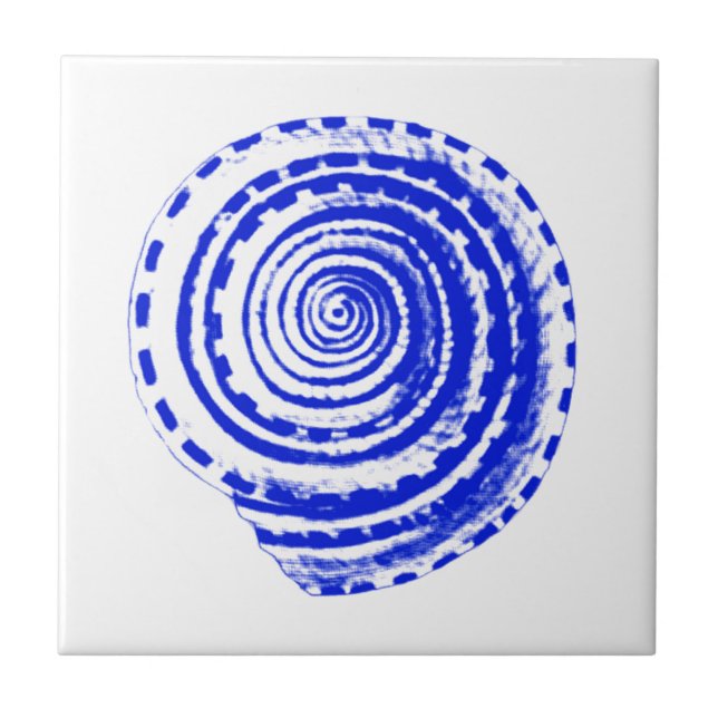 Seashell - cobalt blue and white tile (Front)