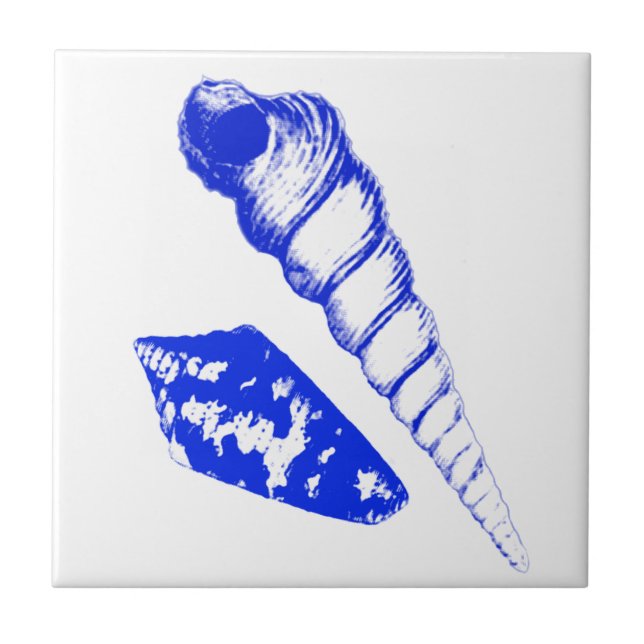 Seashell - cobalt blue and white tile (Front)