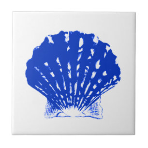 Seashell - cobalt blue and white tile