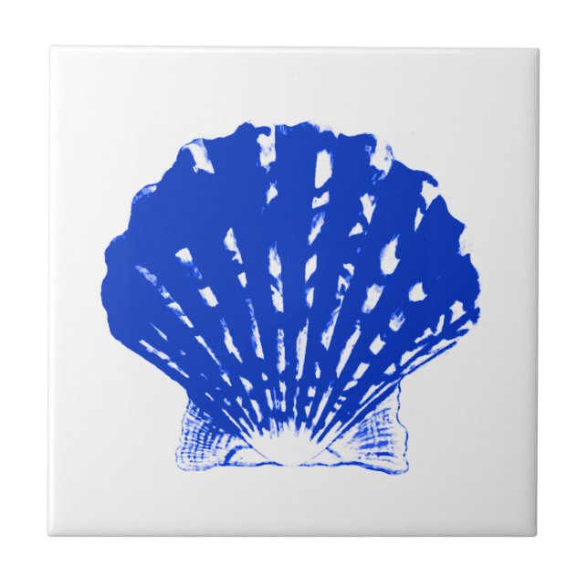 Seashell - cobalt blue and white tile (Front)