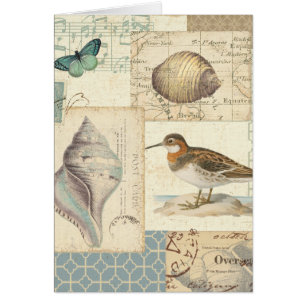 Seashell Collage