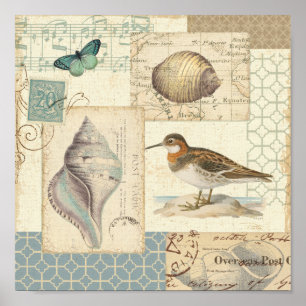Seashell Collage Poster