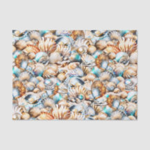 Seashell collage tropical iridescent nautical chic