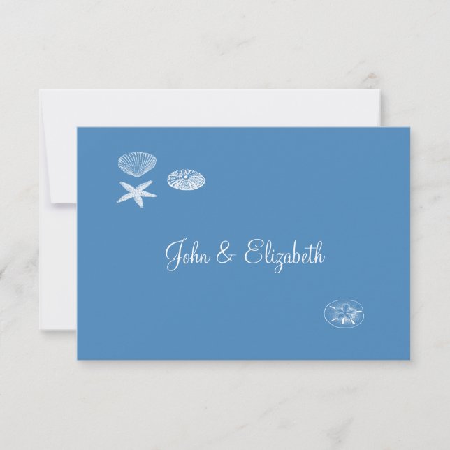 Seashell Collection Notecard/Thank You Note Card (Front)