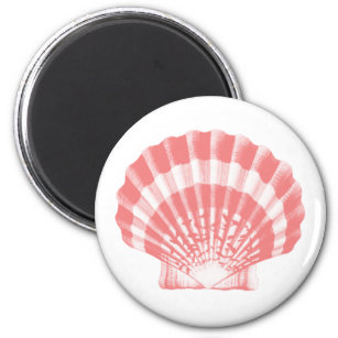 Seashell - coral pink and white magnet