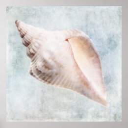 Seashell Distressed Coastal Blue Cream Watercolor Poster