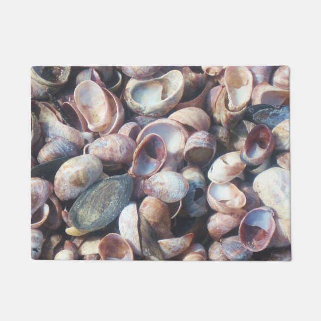 Seashell Doormat (Front)