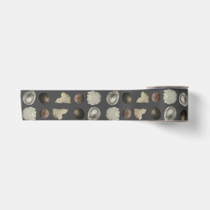 SeaShell Extravaganza  Satin Ribbon