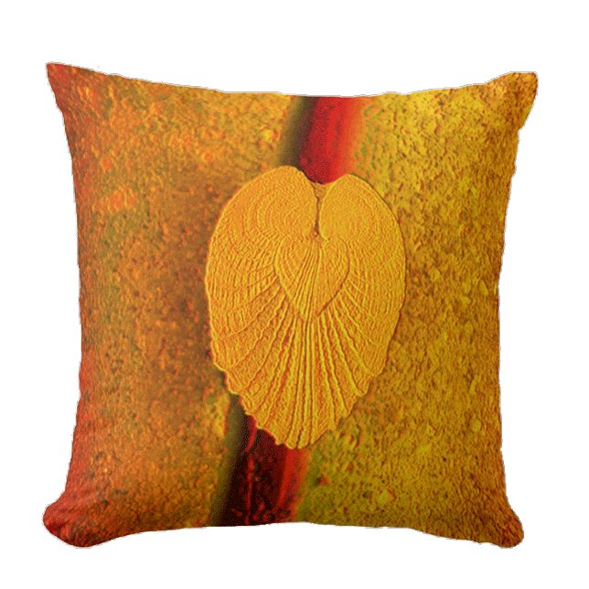 Seashell Heart Angel Wings- Golden Sunrise Cushion (Creator Uploaded)