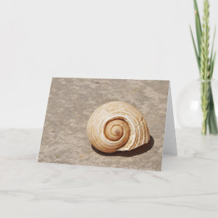 SeaShell Holiday Card