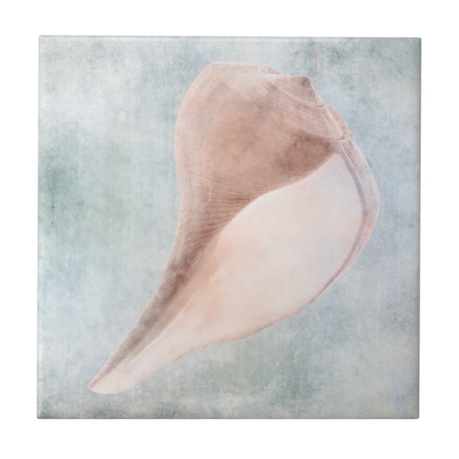Seashell in Cream and Coastal Blue Pastel Ceramic Tile (Front)