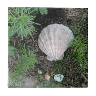 Seashell in Garden Tile