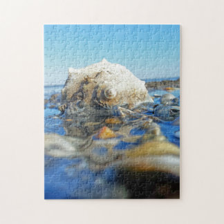 Seashell In Water Jigsaw Puzzle