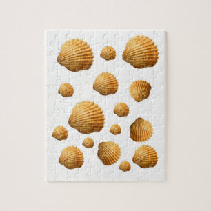 Seashell Jigsaw Puzzle