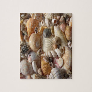 Seashell Jigsaw Puzzle