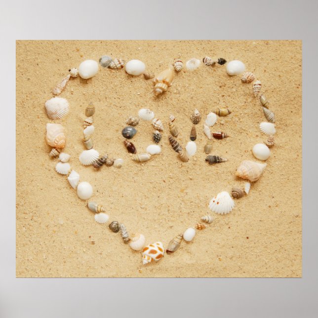 Seashell Love Poster (Front)