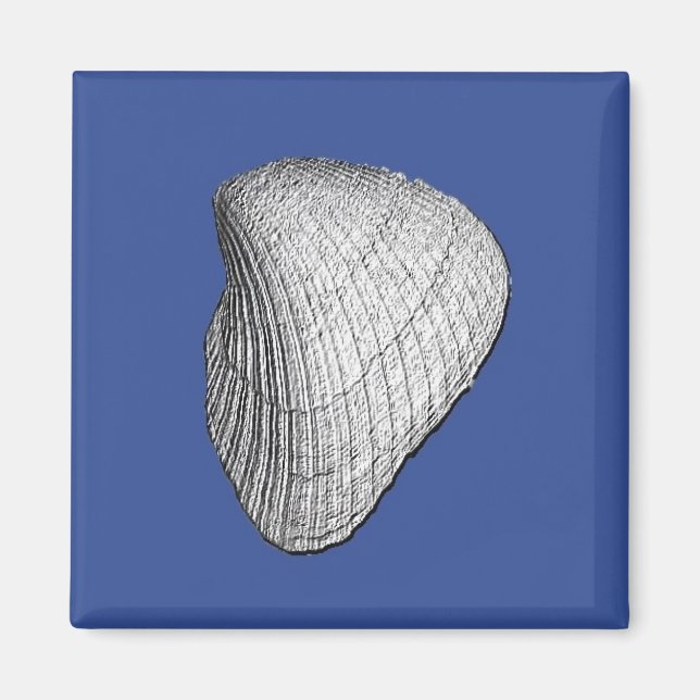 Seashell Magnet (Front)