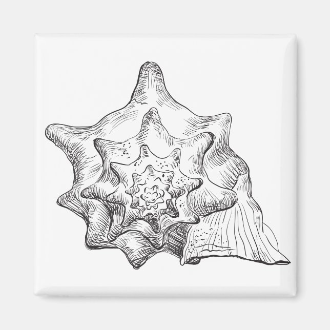 Seashell Magnet (Front)