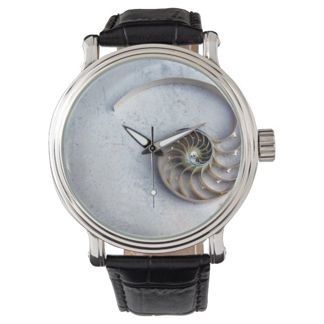 seashell nautilus shell minimal  watch (Front)