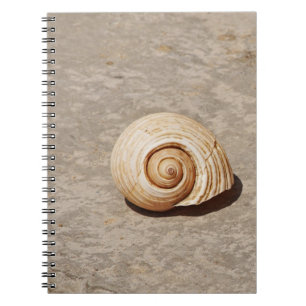 SeaShell Notebook