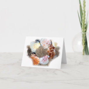 Seashell Notecard