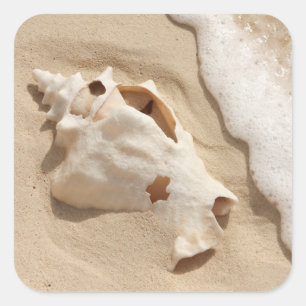 Seashell On Beach   Grand Turk Caribbean Island Square Sticker