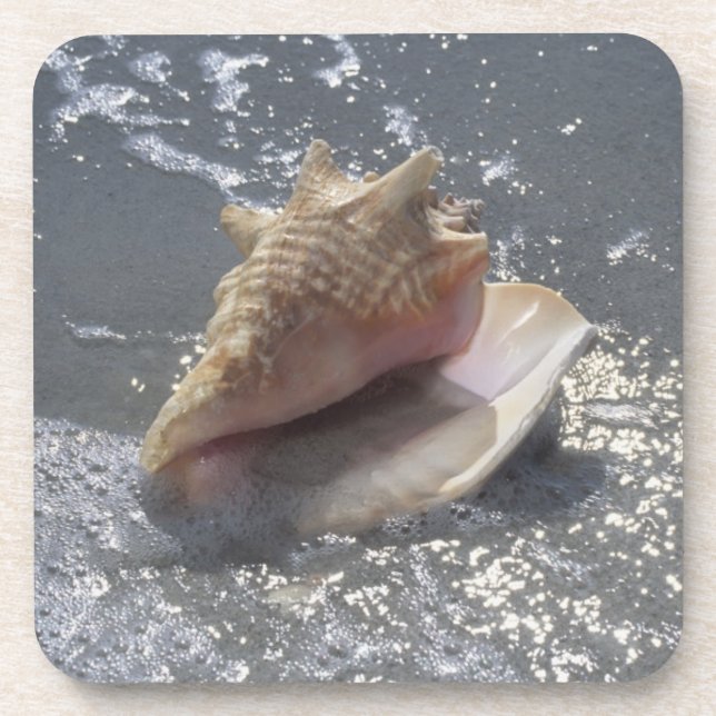 Seashell On Beach | Sanibel Island, Florida Coaster (Front)