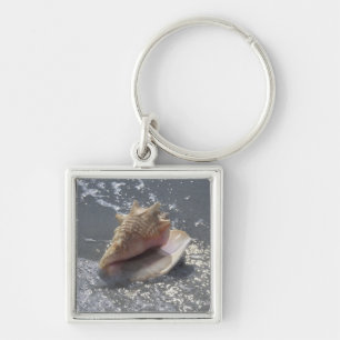 Seashell On Beach Sanibel Island, Florida Key Ring