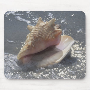Seashell On Beach Sanibel Island, Florida Mouse Pad