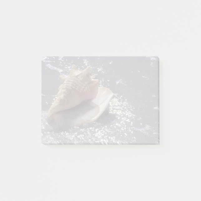 Seashell On Beach | Sanibel Island, Florida Post-it Notes (Front)