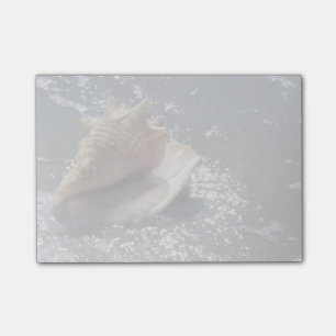 Seashell On Beach Sanibel Island, Florida Post-it Notes