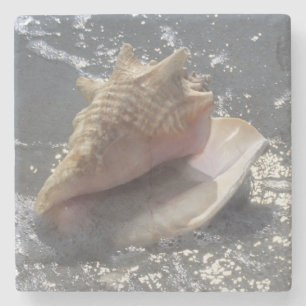 Seashell On Beach Sanibel Island, Florida Stone Coaster