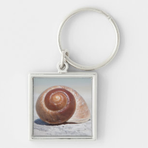 Seashell On Beach St. Petersburg, Fl Key Ring
