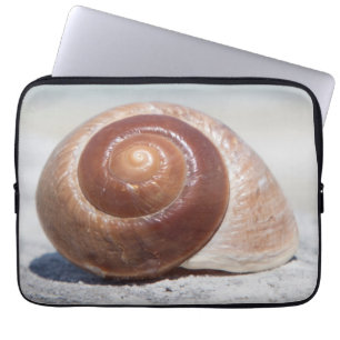 Seashell On Beach St. Petersburg, Fl Laptop Sleeve
