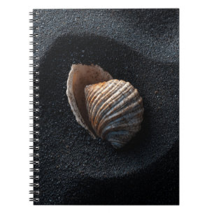 Seashell on Dark Sand Notebook