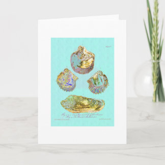 Seashell on Robins Egg Blue Card