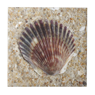 Seashell On Sand Ceramic Tile