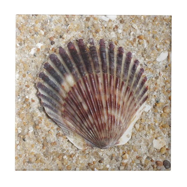 Seashell On Sand Ceramic Tile (Front)